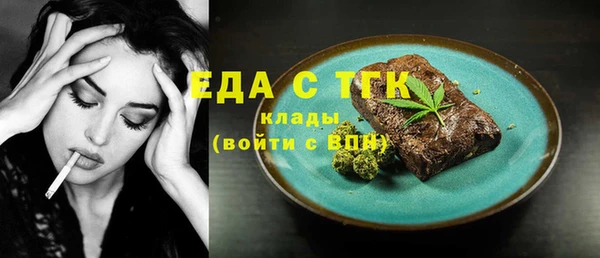 хмурый Алексин