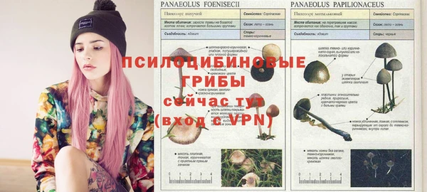 хмурый Алексин