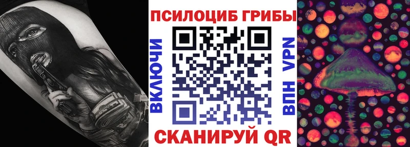 хочу наркоту  Феодосия  Псилоцибиновые грибы прущие грибы 